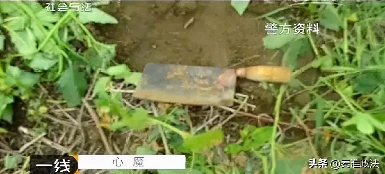 心魔：河北唐山婆婆杀媳案侦破纪实