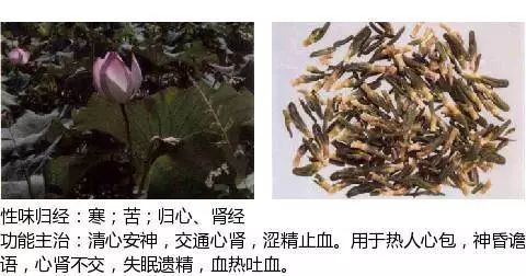 300个中草药图谱（附主治功效），知道一半就太牛了（上）