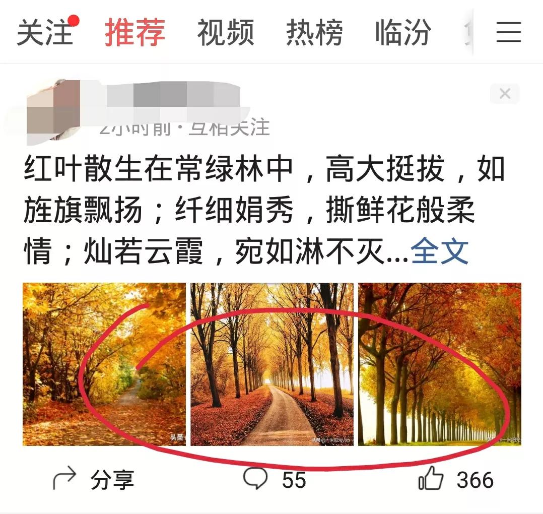 为什么作品的阅读量和评论量那么少？是因为没有掌握好的方法