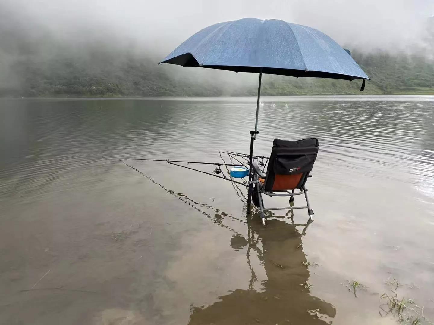 蓝鲫出厂又提价了！可网购为什么不涨反跌？就因套路屡试不爽