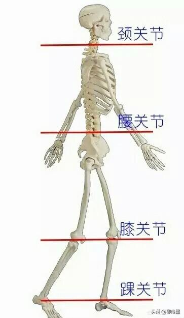 2张人像发现4个问题，16图解6个摄影技巧，拍照清丽优雅不俗气