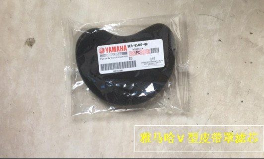 都啥家庭，骑个踏板还去专卖店保养，我教你，学不会你打车来打我