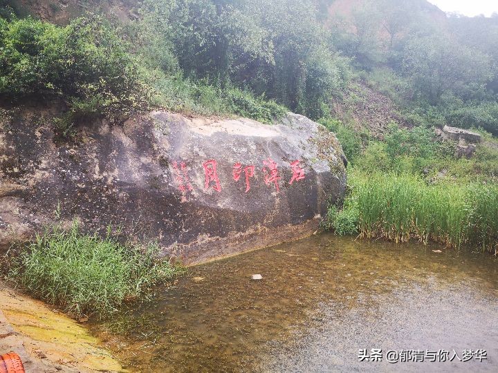 诗词：过莲花池有感