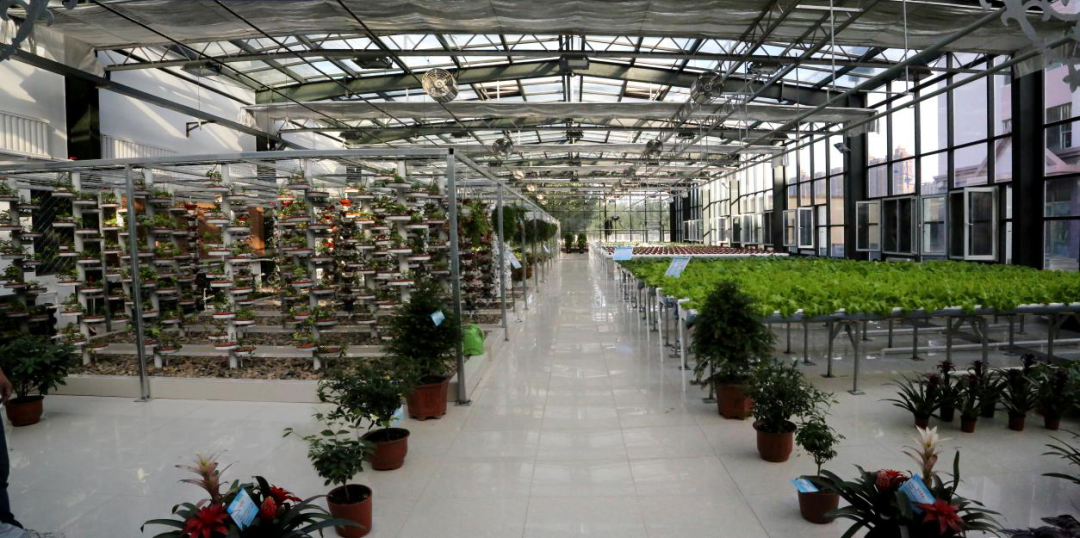 新区高校集结 | 传承北大荒精神，培养创新创业人才！走进黑龙江农垦职业学院