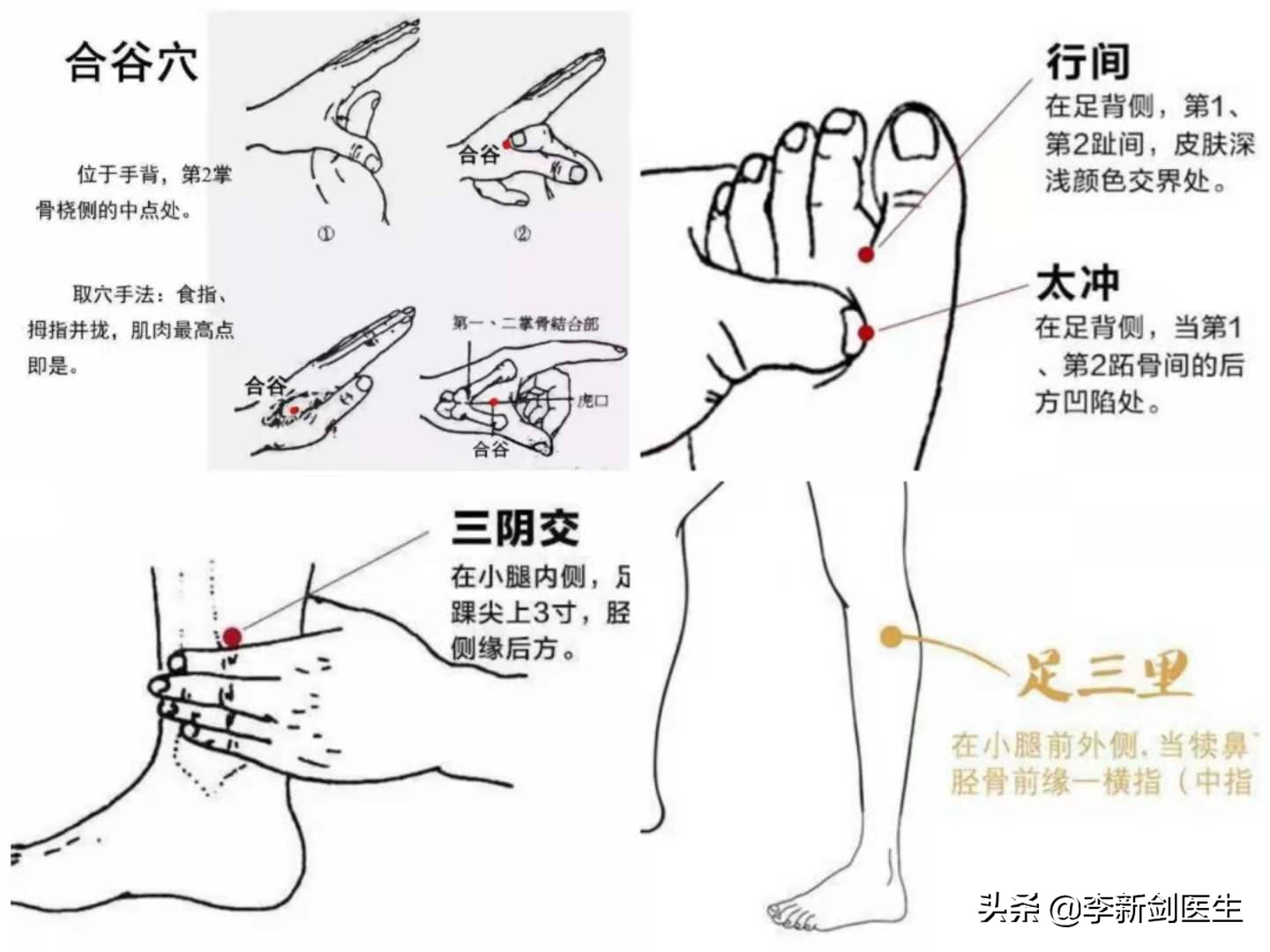 脚部肝经按摩图图片