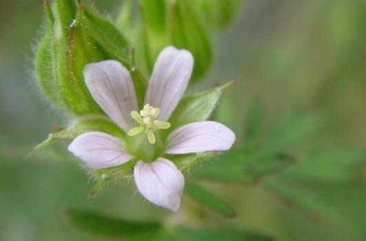 成年人最好的修养，就是“看别人顺眼”