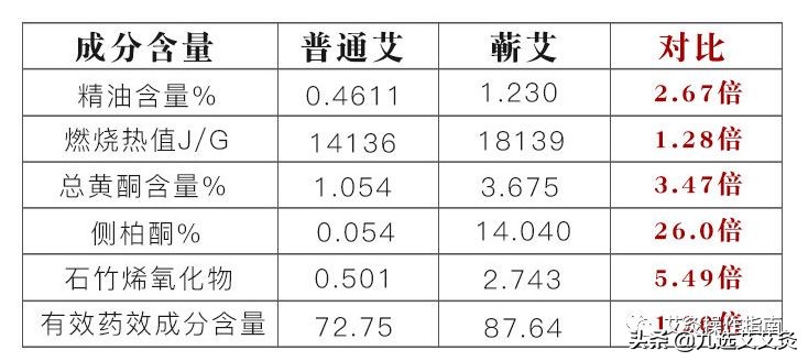 豁出去了，今天一定要捅破艾柱的这些秘密