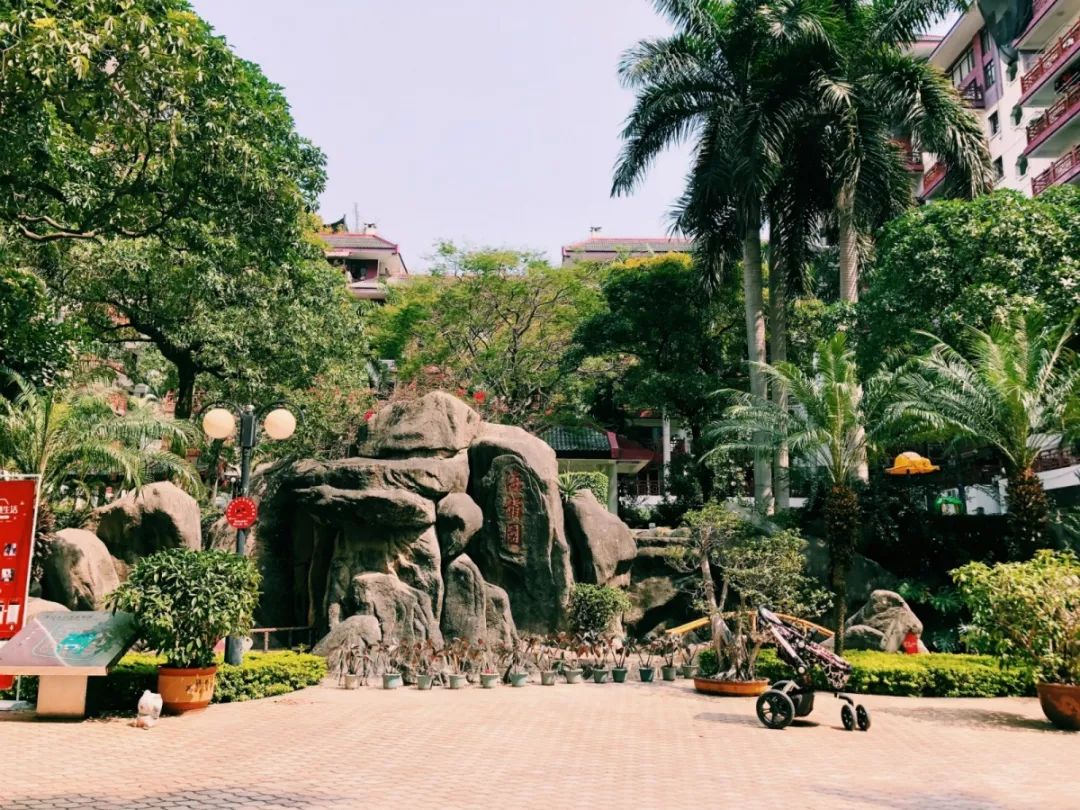 老破小一平10万+！我们走遍厦门18所名校，为你曝光最贵学区房！