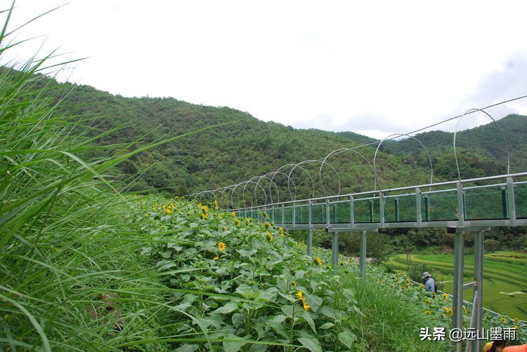 一片五彩稻田，让深藏山中的核桃箐蜚声昆明，青山、绿水，这都有