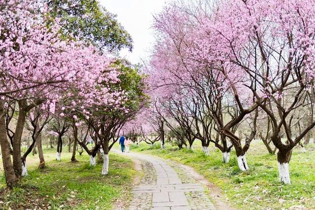 杭州旅游景点有哪些景点？杭州旅游十大必去打卡景点推荐-第157张图片