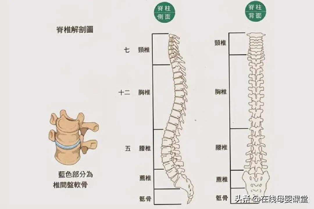 刚出生的婴儿需要枕枕头吗（宝宝多大可以用枕头）