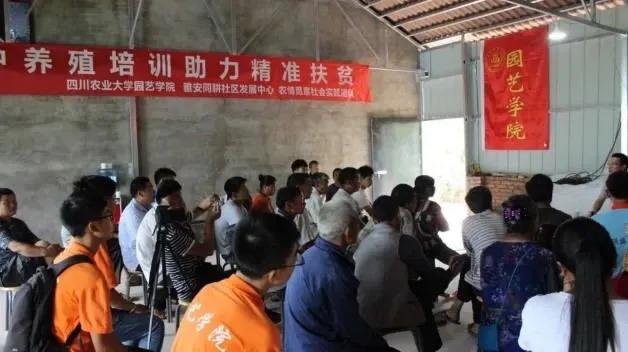 看！来自四川农业大学的志愿服务项目