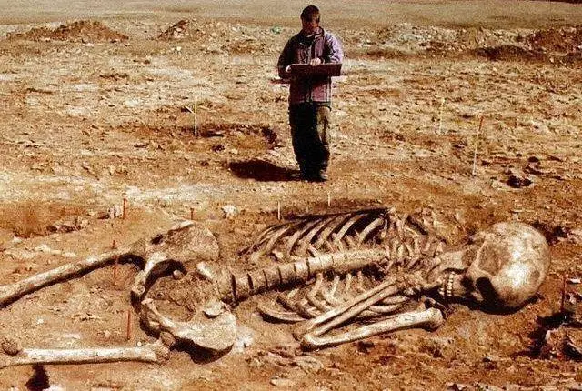 科学家不敢公开的发现（世界上曾有5米高的巨人）