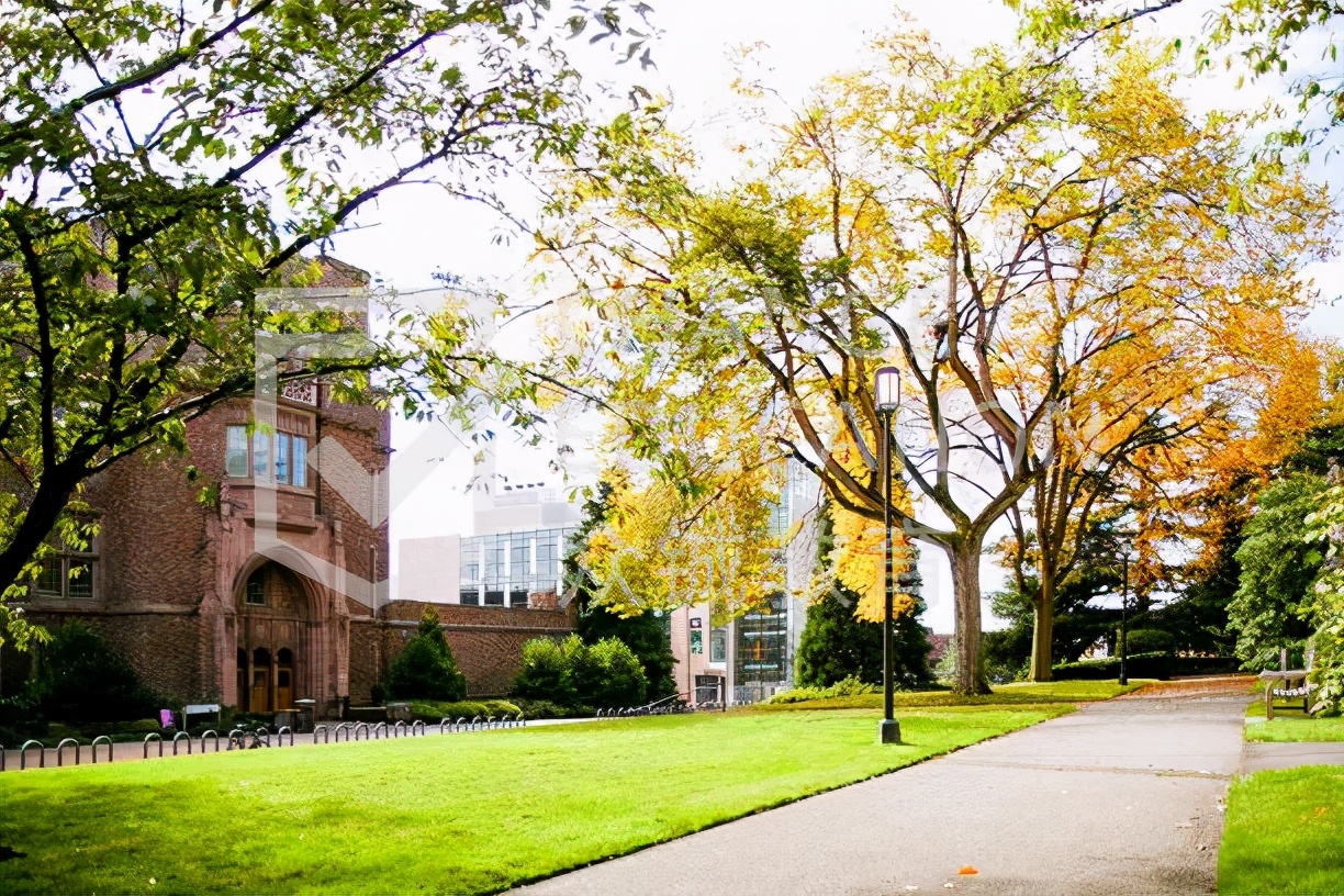 成人高考专业怎么选（成人高考选什么学校和专业）