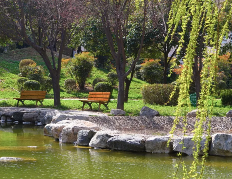 神仙颜值！惊艳众人！陕西高校“最美校花”高清大图曝光