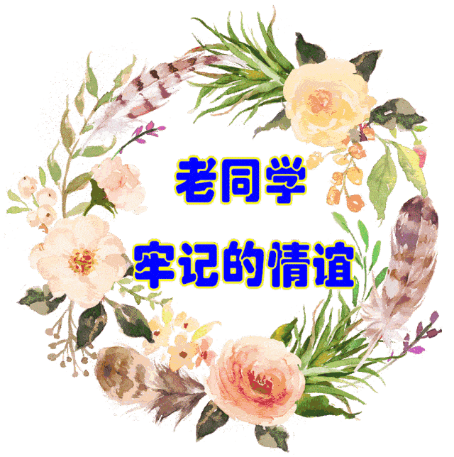 同学的友谊英文句子唯美简短