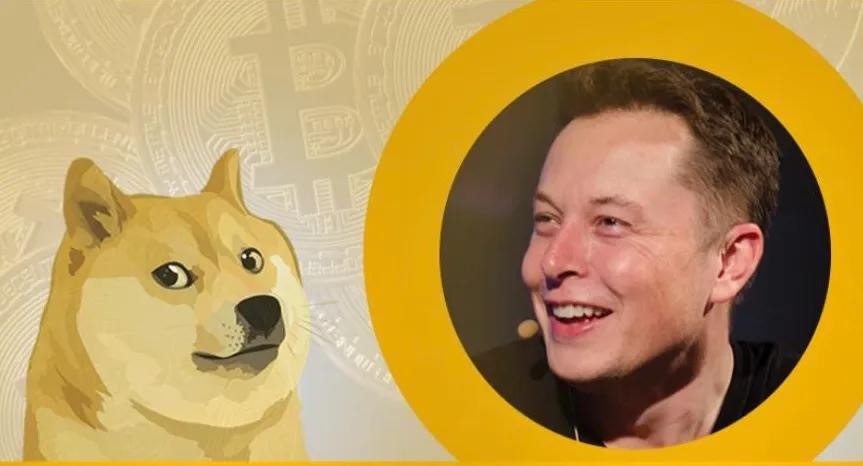 狗狗币的路为啥越走越歪？为你讲述狗狗币的前世今生