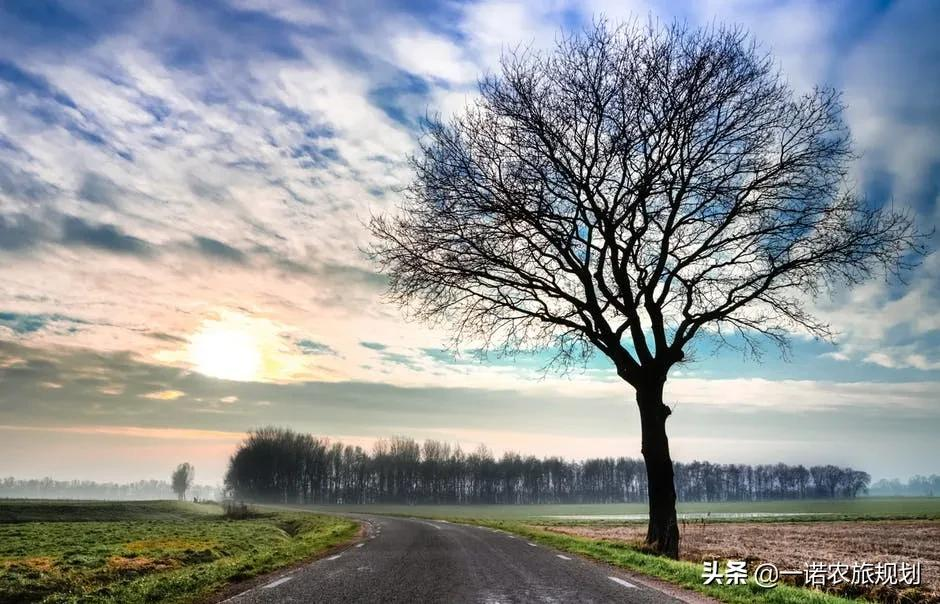10月份,全国811个农业产业强镇选择发展的新路径是什么?