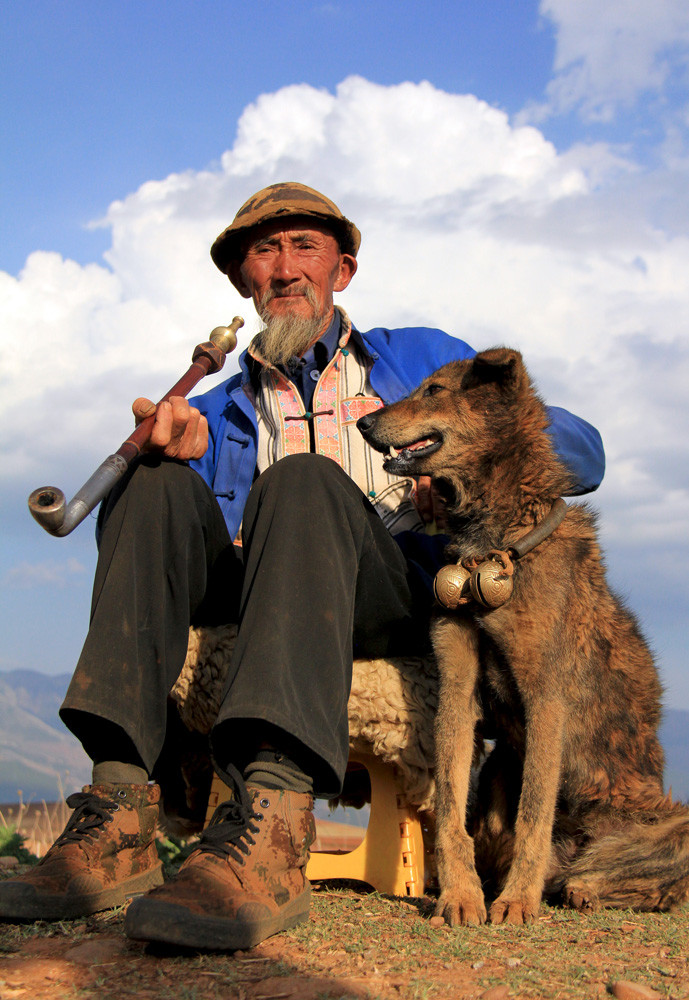 狗是人类最忠诚的动物,愿你在天堂一切安好,我想你了大黄