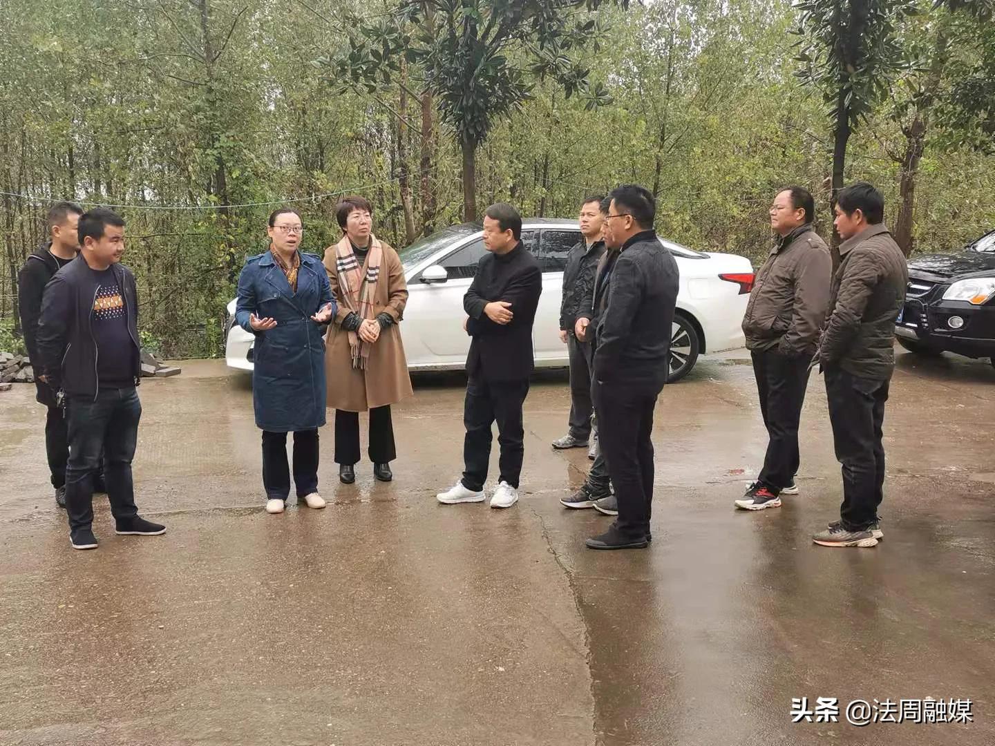澧县县领导李阳调研官垸镇鸟儿洲村乡村振兴工作