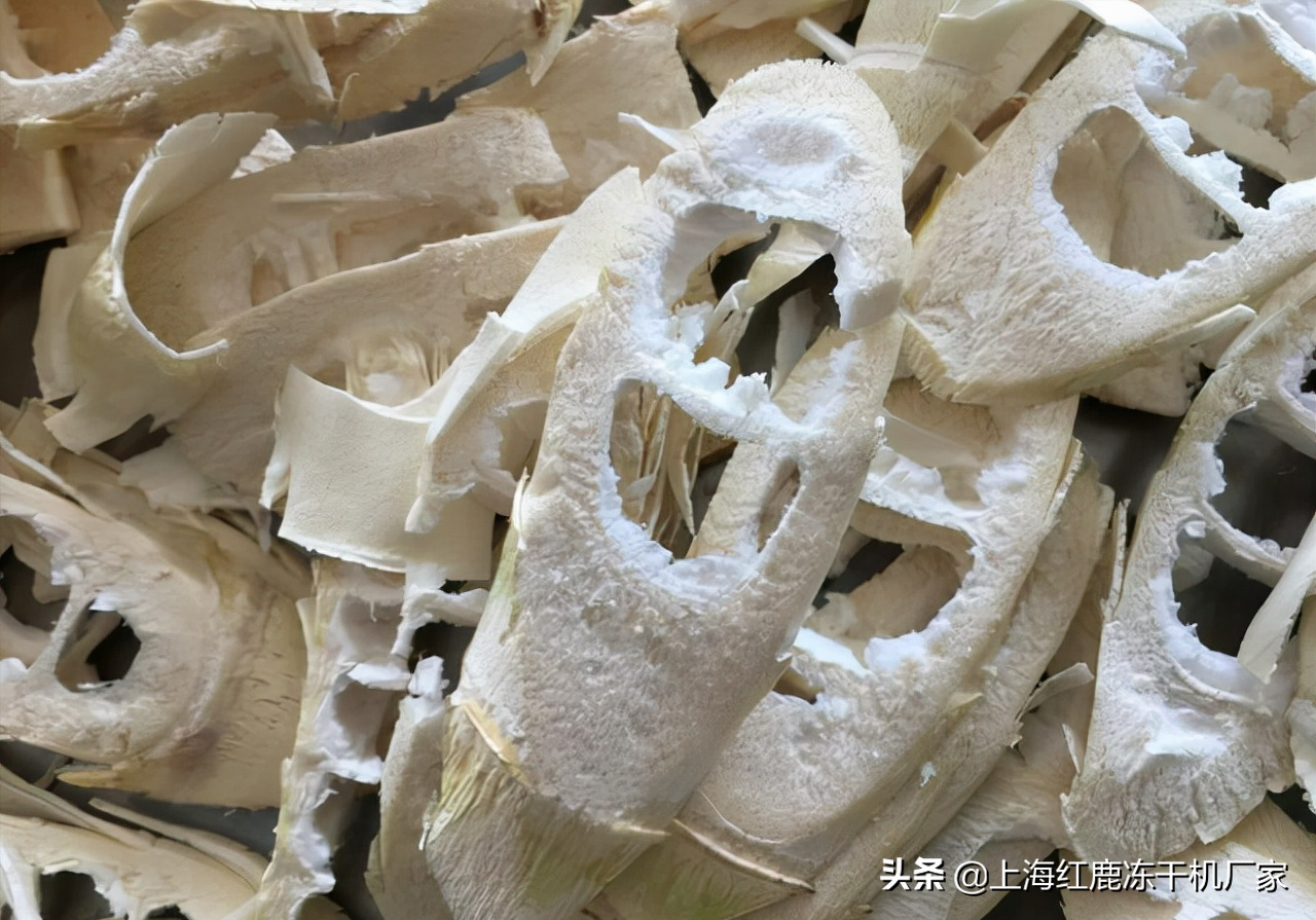 竹笋冻干机技术优势，竹笋冻干机生产工艺流程