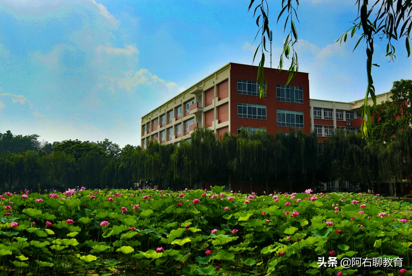 成都这4校，光看校名分不清公办还是民办！