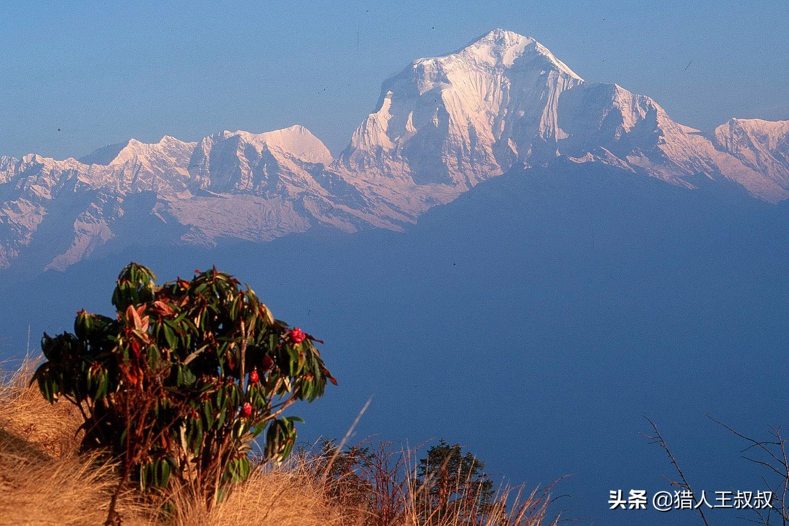世界最高山峰前十排名，谁能全部答对？