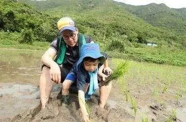 8岁！30道菜！70天学会！有“烟火气”的孩子，究竟有多幸福？