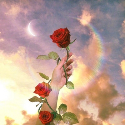 头像-壁纸-(红玫瑰)我爱你,每一天