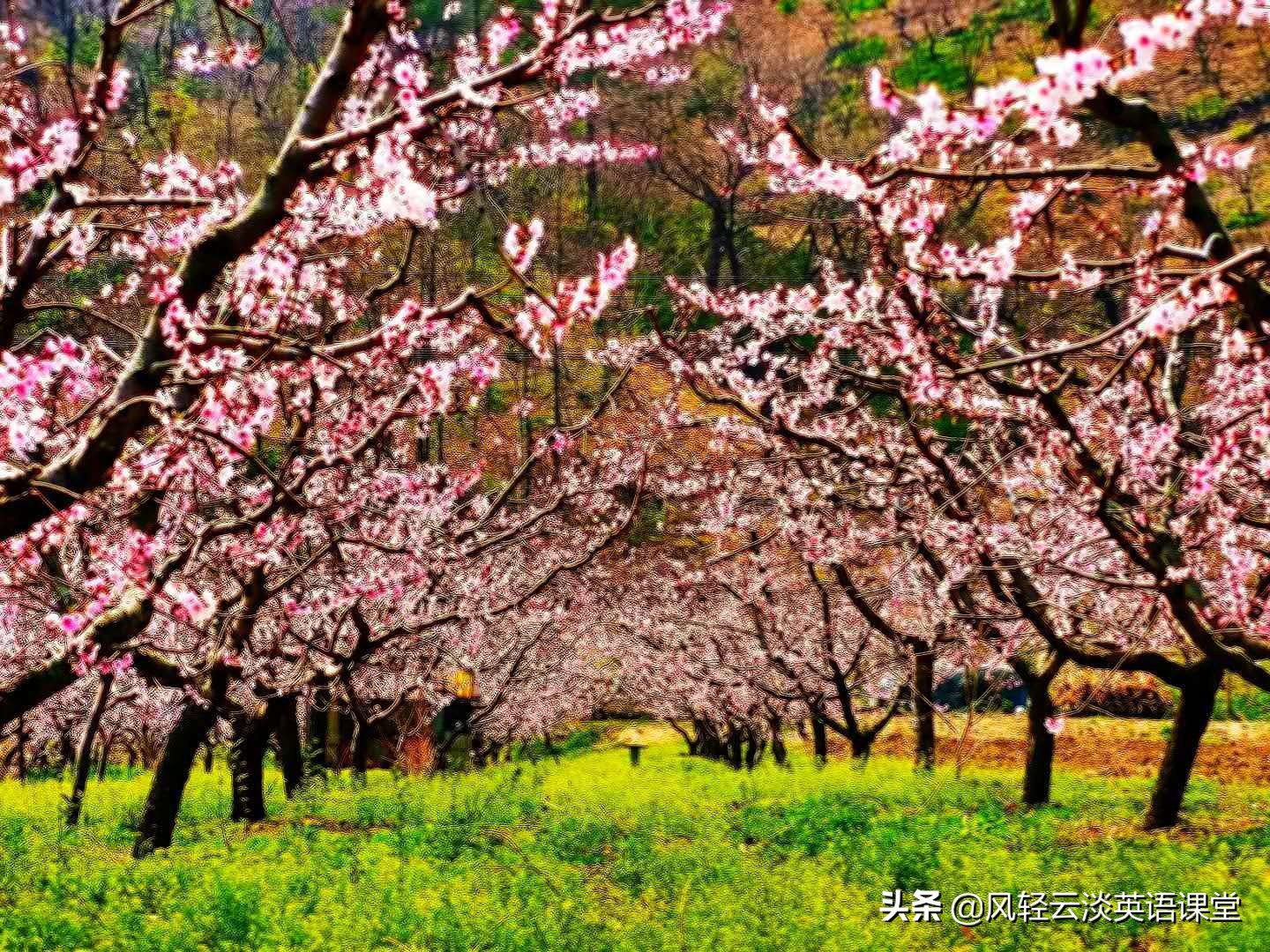 2020年高考作文三大热门题型，审题立意要注意什么？