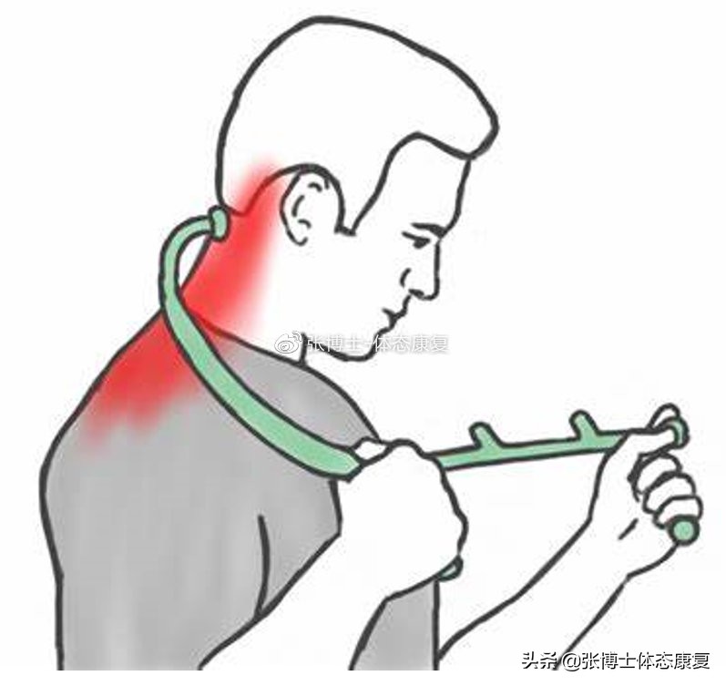 「体态康复」缓解颈部僵硬酸痛的拉伸方法