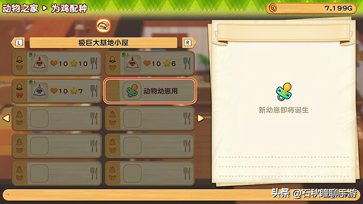 《牧场物语 橄榄镇与希望的大地》第一年夏攻略：印钞机启动