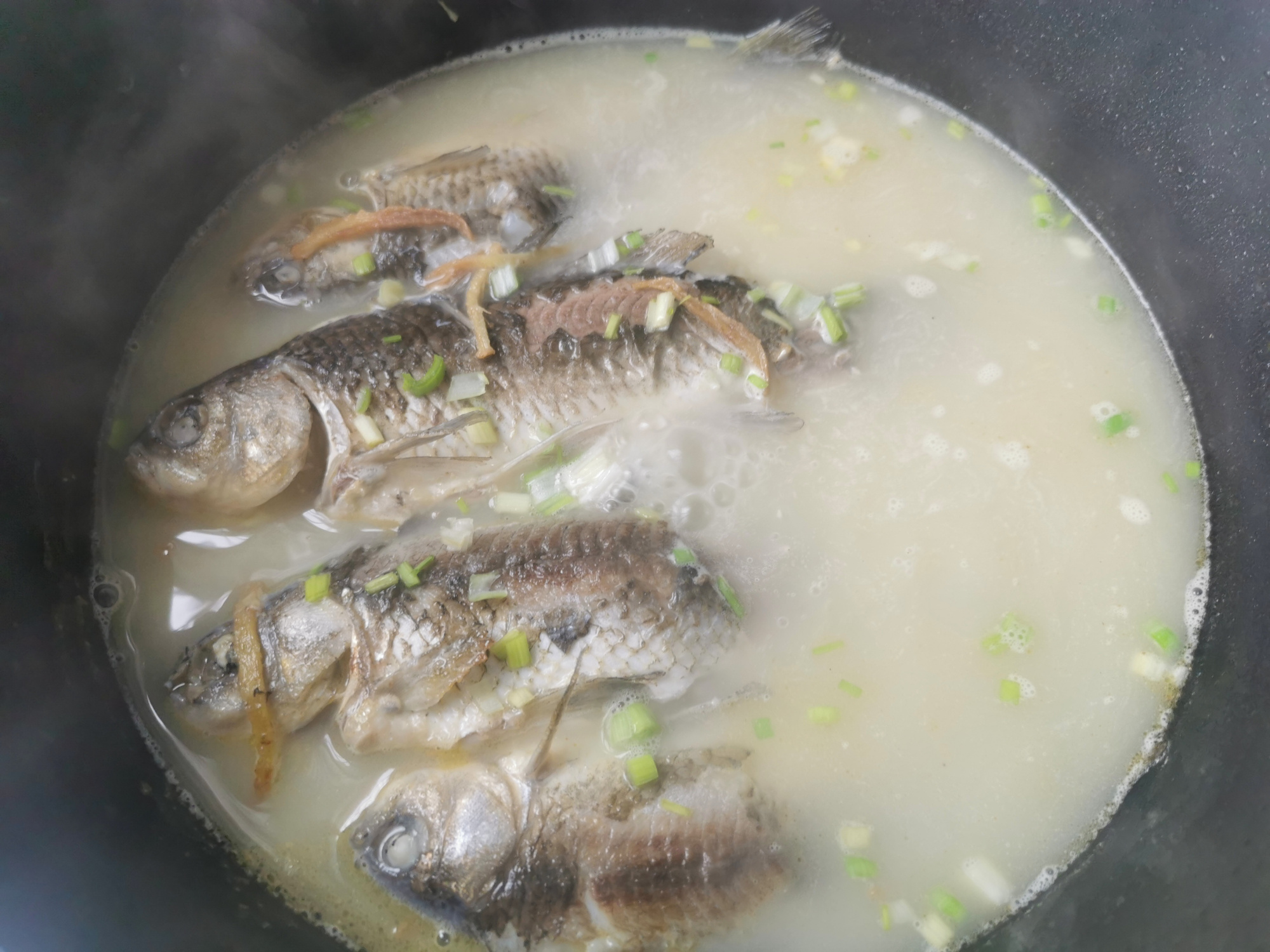 不管用什么鱼熬汤，记住这3点，鱼汤浓白无腥味，老人孩子都爱喝