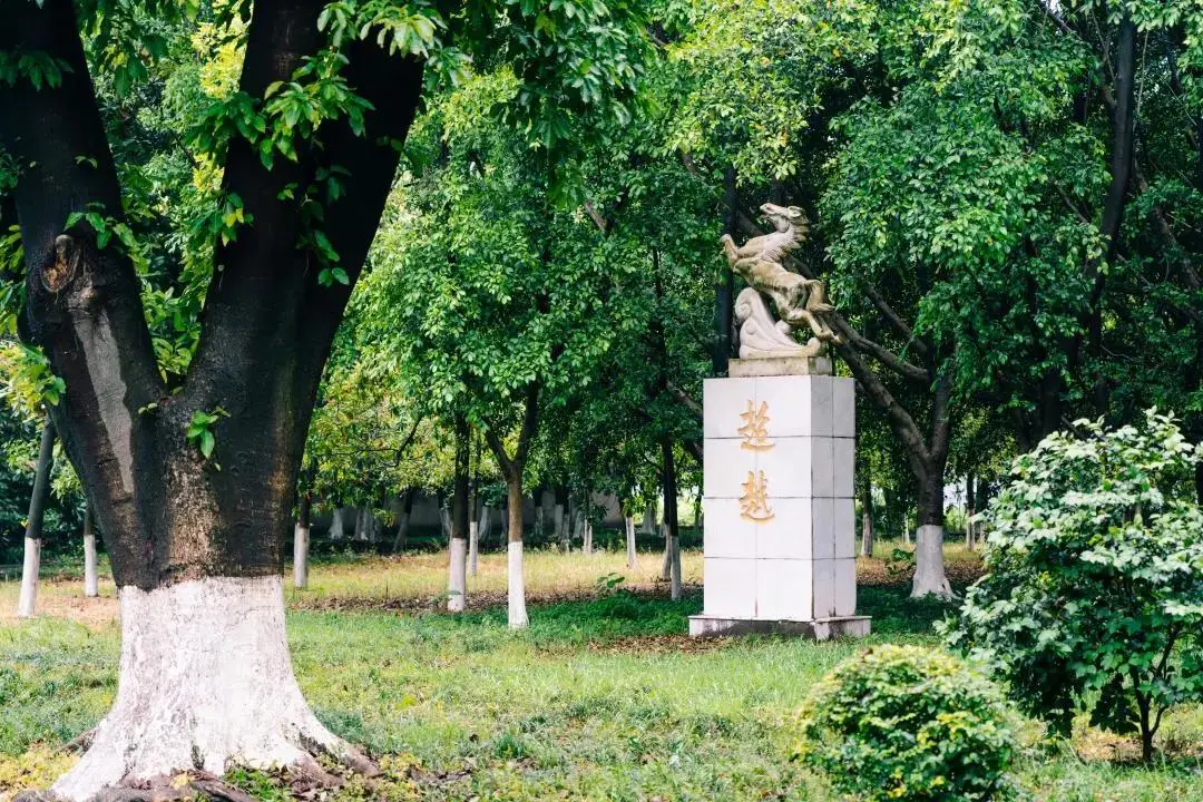 刘伯承是校长，创下多个全国首次！重庆这所名校多次赴联合国等地为国发声！