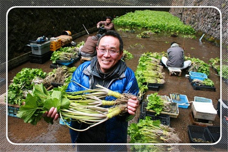 35岁的人明年计划在农村搞种植，种什么效益高，有前景？