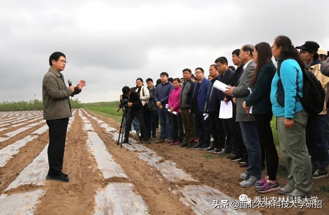 骄傲！陕西10位