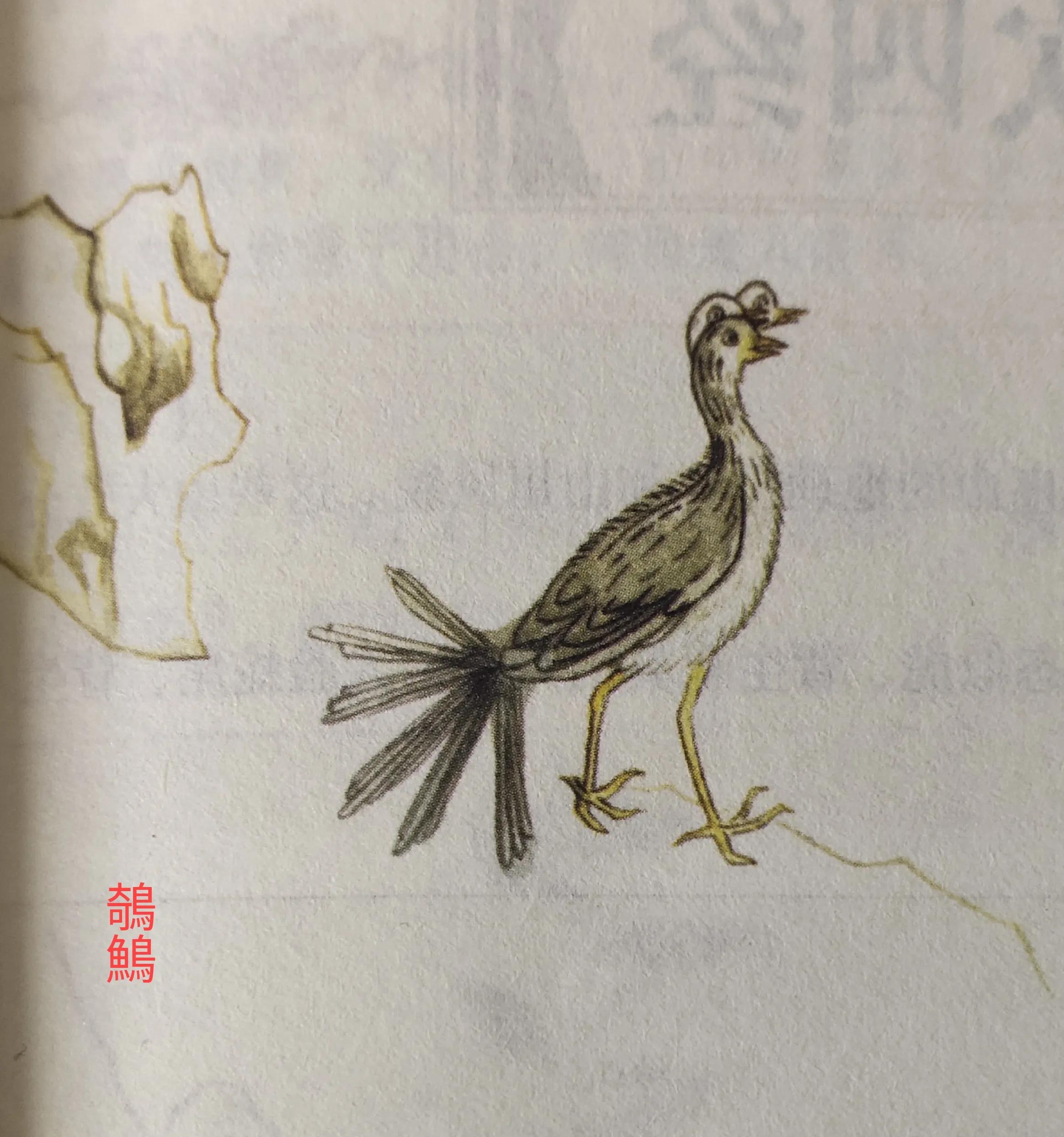 那些山海经里神奇而又漂亮的飞禽
