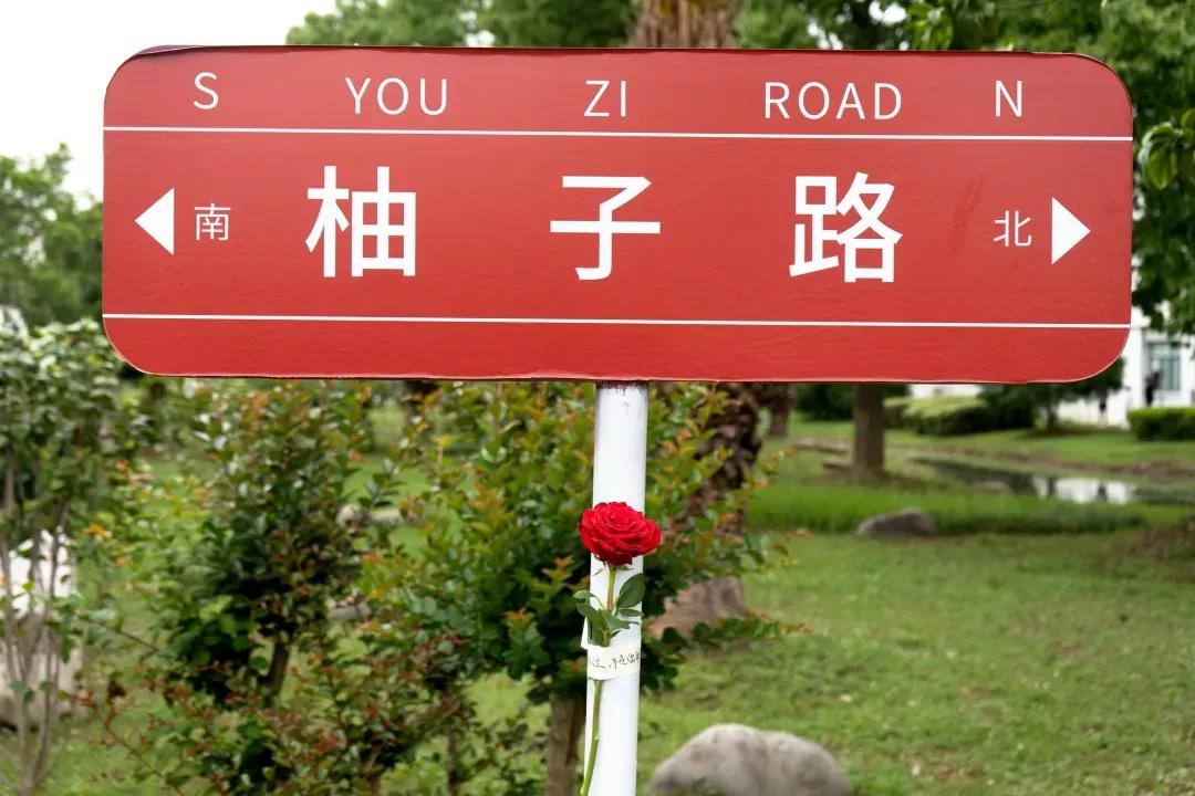 江苏省高校（六十六）苏州大学应用技术学院