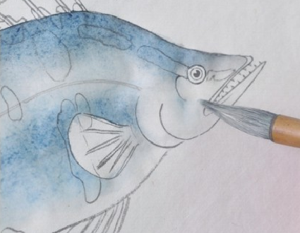 分步骤讲解工笔鳜鱼的基本画法及染色