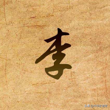 为区别其他同音姓,常说"十八子李"或"木子李".