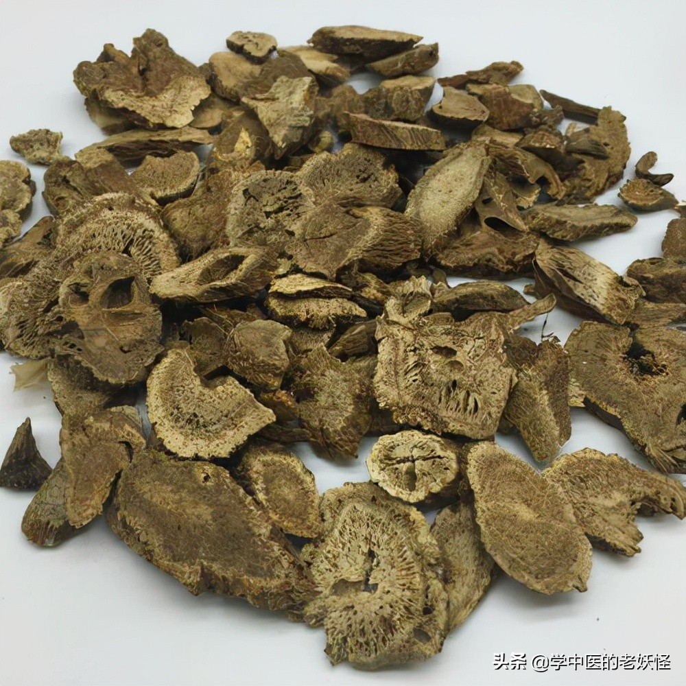 木香的功效与作用(每日一中药)_东方瑞丽网