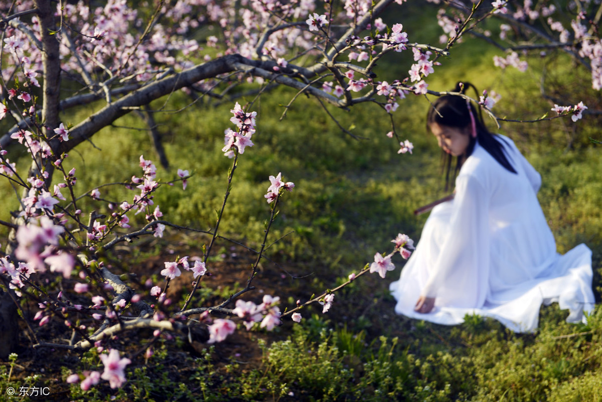 八个形容爱情美好的成语，原来出自这里