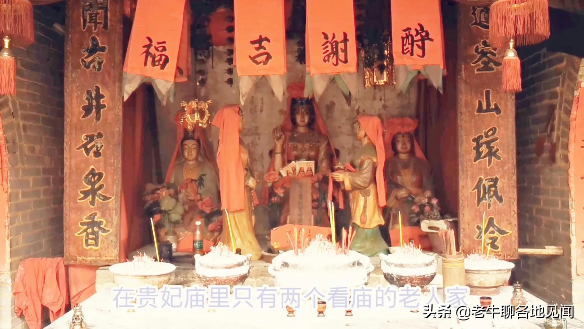 杨贵妃是不是广西容县人？山西陕西四川河南表示不服， 去探查