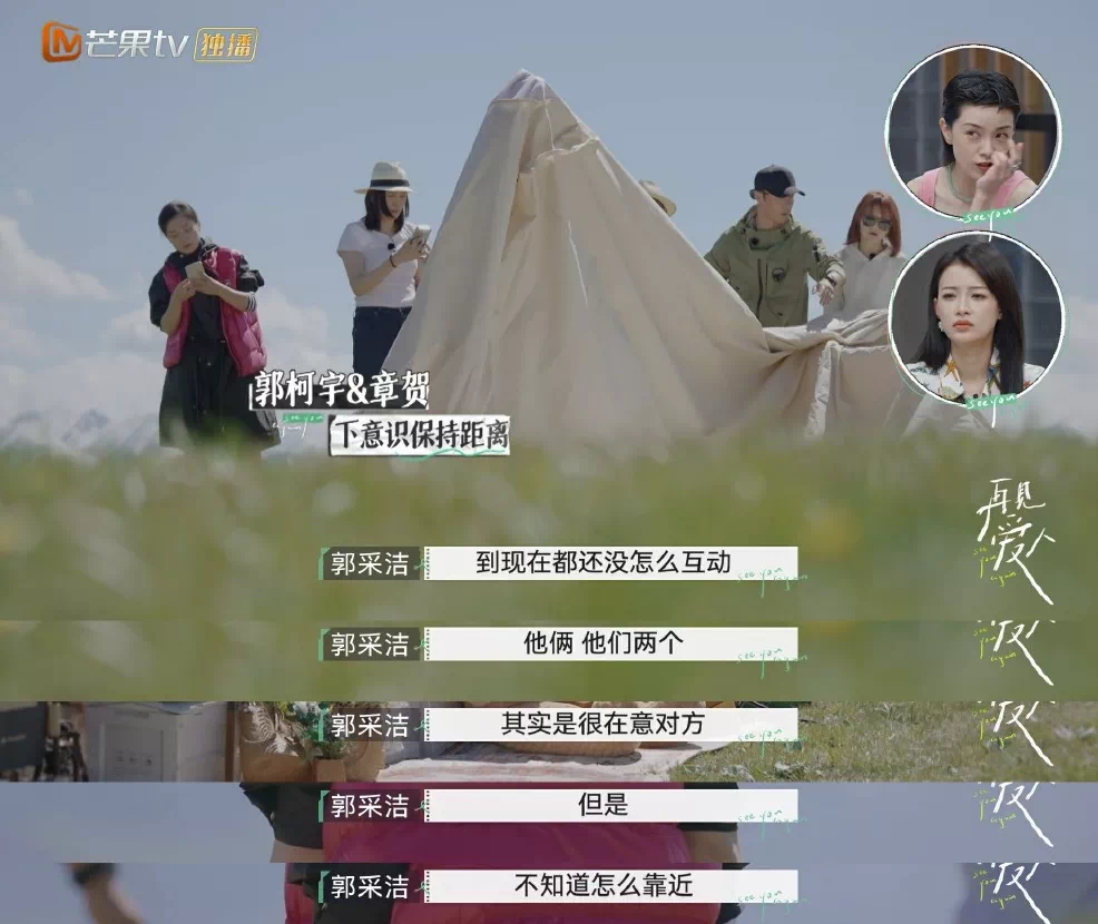 离婚真人秀《再见爱人》一夜爆火：明星离婚的真相，藏不住了