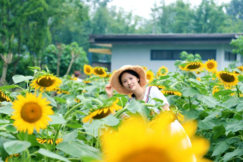 入职外交部、签约华为、保研名校，湖北高颜值“学霸团”来自同一所大学！