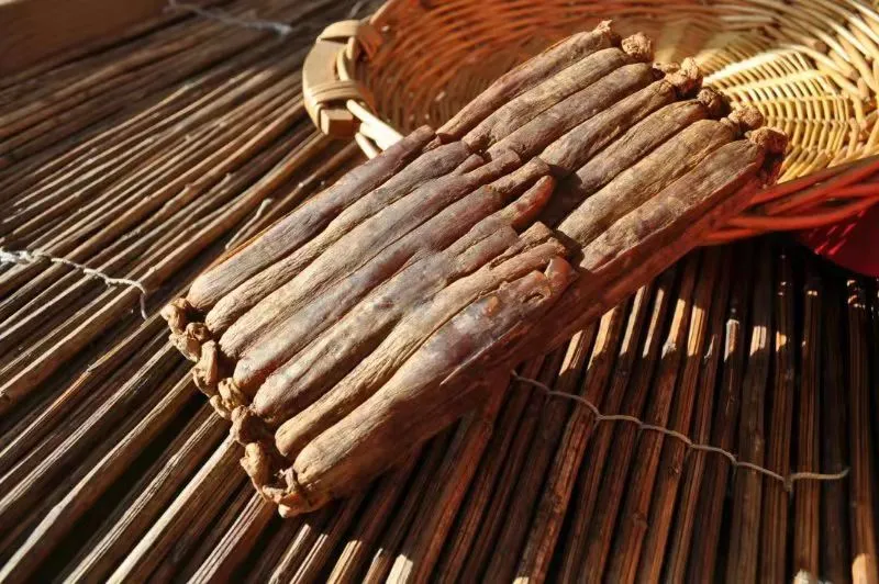 助推中医药传承创新高质量发展，吉林非遗这样做！