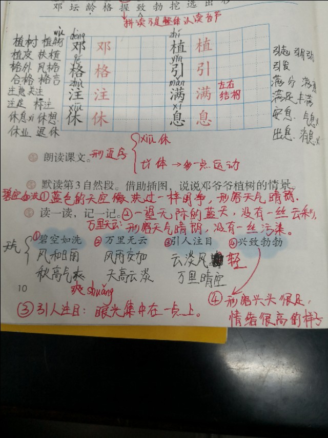 二年级语文下册第四课《邓小平爷爷植树》课文分析