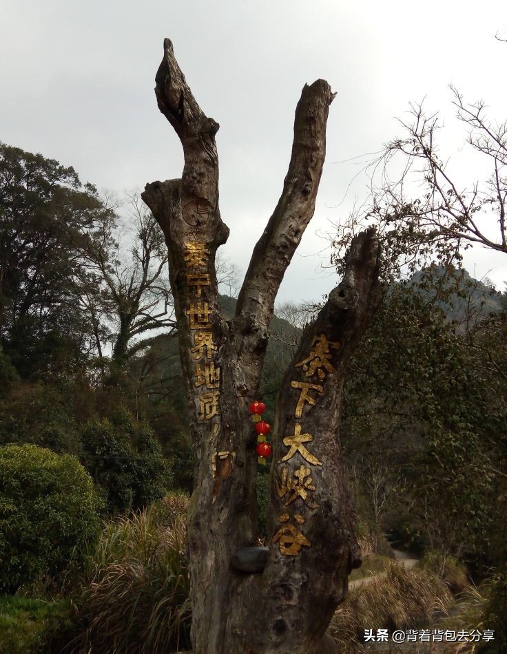 福建十大著名景区，仅仅只有几家免费，你又去过几处呢（上）