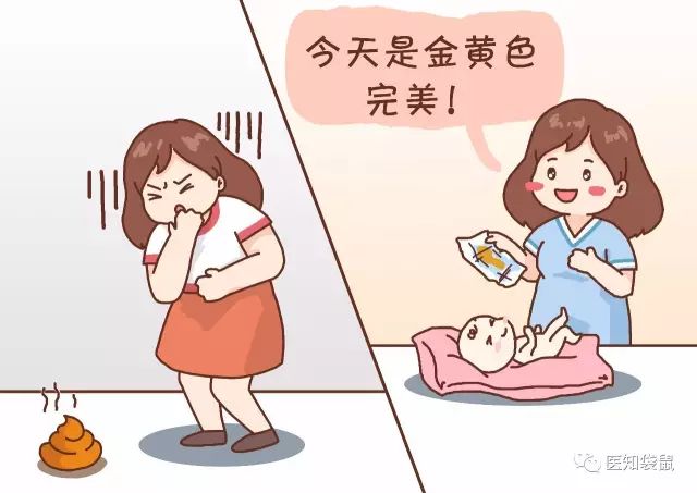 宝宝便秘、腹泻、消化不好，益生菌别乱吃！补之前这项检查做了吗