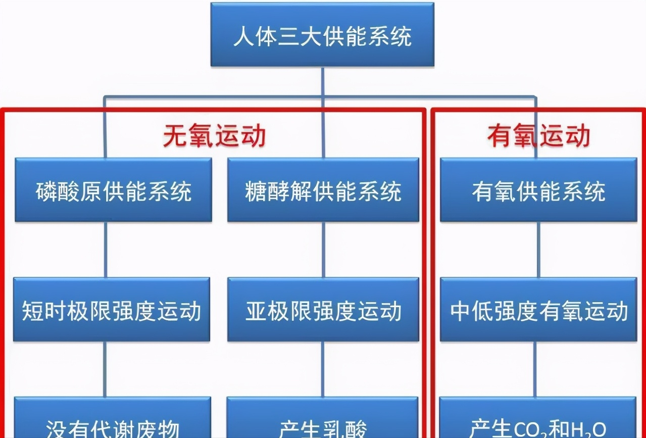 你真的懂有氧运动和无氧运动吗？搞清楚它俩，会让你的减脂更高效